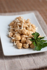 germogli di ceci