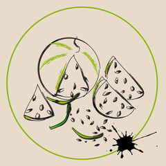 Watermelon slices on beige background