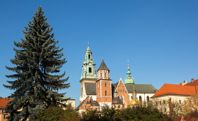 Fototapeta na wymiar Royal palace in Wawel in Krakow.