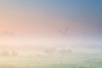 Fototapeta na wymiar foggy sunrise over Dutch farmland with windmill
