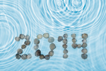 The inscription 2014 made ​​seashells in water