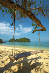 wooden swing and sea