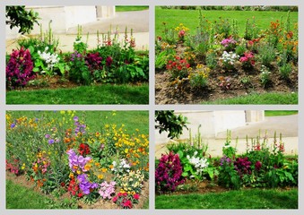 montage,massif floral