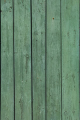 wall wooden planks painted green