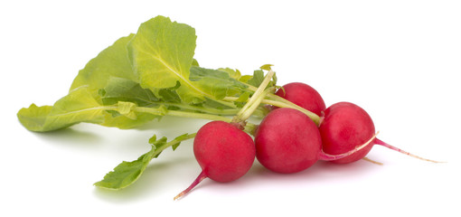 Fresh garden radish isolated on white background cutout