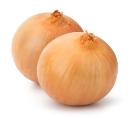 Fototapeta premium Fresh bulbs of onion on a white background