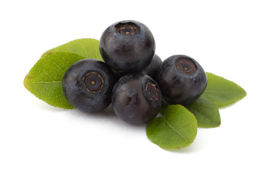 Fresh blueberries isolated on white background