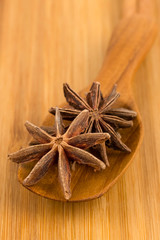 Anise stars in wooden spoon