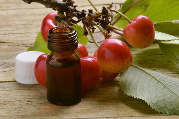 דובדבן Ciliegia Вишня Cerasus Wiśnia Cerisier Cerejeira © Comugnero Silvana