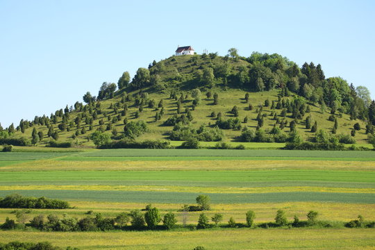 K&ouml;rnb&uuml;hl / Salmendinger Kapelle / Schw&auml;bische Alb