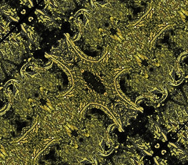 Ancient Ornate Background