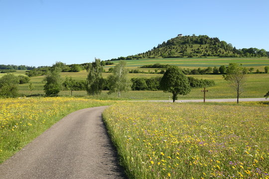 K&ouml;rnb&uuml;hl / Salmendinger Kapelle / Schw&auml;bische Alb