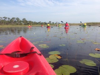 kayaking in florida