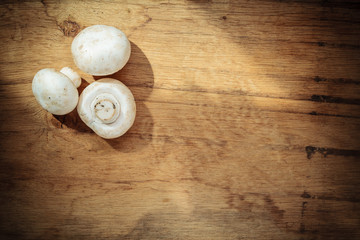 Food. Fresh white mushrooms champigonons