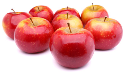 red ripe apples