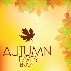 Abstract Autumn Background Pattern Template