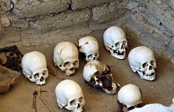 Ancient Skulls