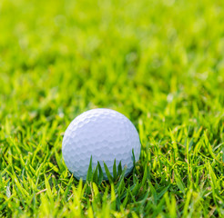 Golf ball on green grass