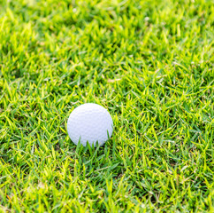 Golf ball on green grass