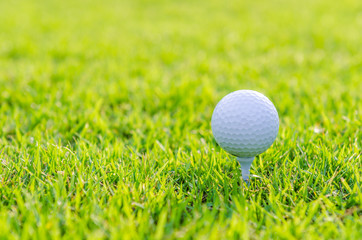 Golf ball on green grass