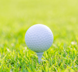 Golf ball on green grass
