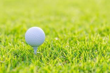 Golf ball on green grass