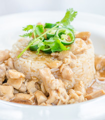 Chicken with brown sauce on rice