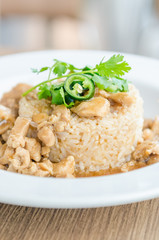 Chicken with brown sauce on rice