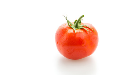 Tomato isolated on white