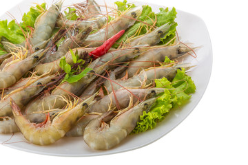Raw tiger shrimps