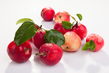 Red apples with leaves