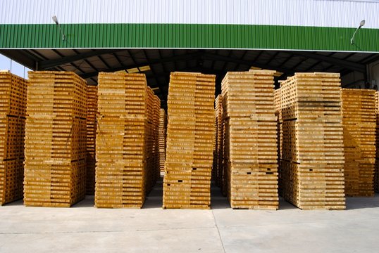 F&aacute;brica de madera