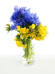 lotus and bluebottle flowers like Ukrainian flag