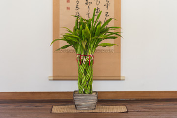 japan vase with spiral plant
