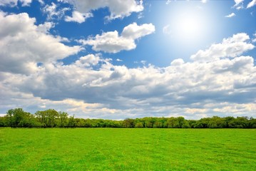 Spring green field with sun