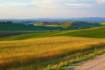 Obraz premium Countryside, San Quirico d`Orcia , Tuscany, Italy