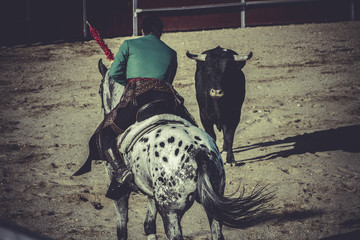 bullfight, traditional Spanish party where a matador fighting a
