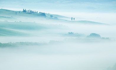 tuscan fog