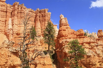 queen's garden , Bryce canyon