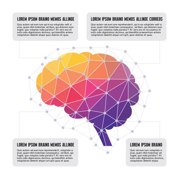 Human Brain - Colored Polygon Infographic Illustration