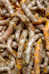 fresh turmeric root