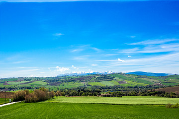 Fototapeta na wymiar view of italian countryside