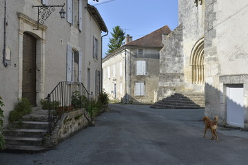 Petite rue ombragée au bourg de Champagne © Photocolorsteph