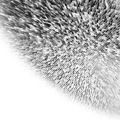 dark abstract thorns on the white background