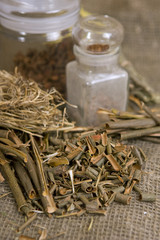 Dry herbals, different medicinal herbs - Willow bark medical