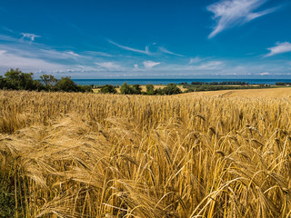 Landschaft an der Ostseeküste bei Bastorf.