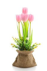 Naklejka na ściany i meble Tulips flower