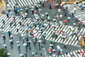 Naklejka premium Shibuya Crossing