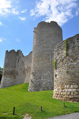 Fototapeta na wymiar Ruines du château de Yèvre-le-Châtel