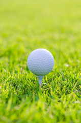 Golf ball on green grass
